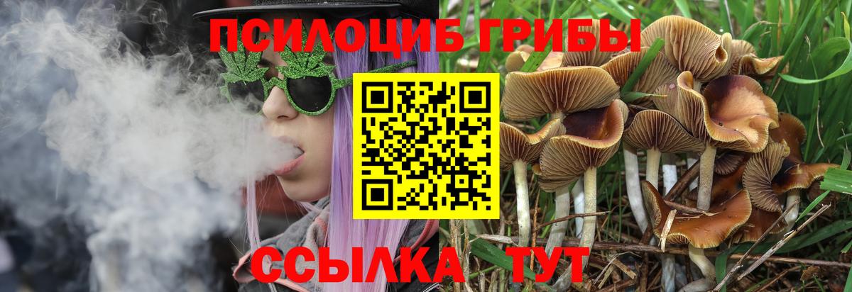 Тимашёвск  магазин продажи наркотиков  Вход с VPN  Галлюциногенные грибы прущие грибы 